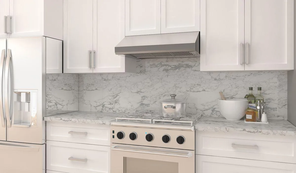 30" x 10" under cabinet hood