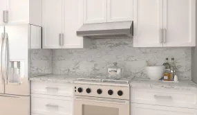 30" x 10" under cabinet hood