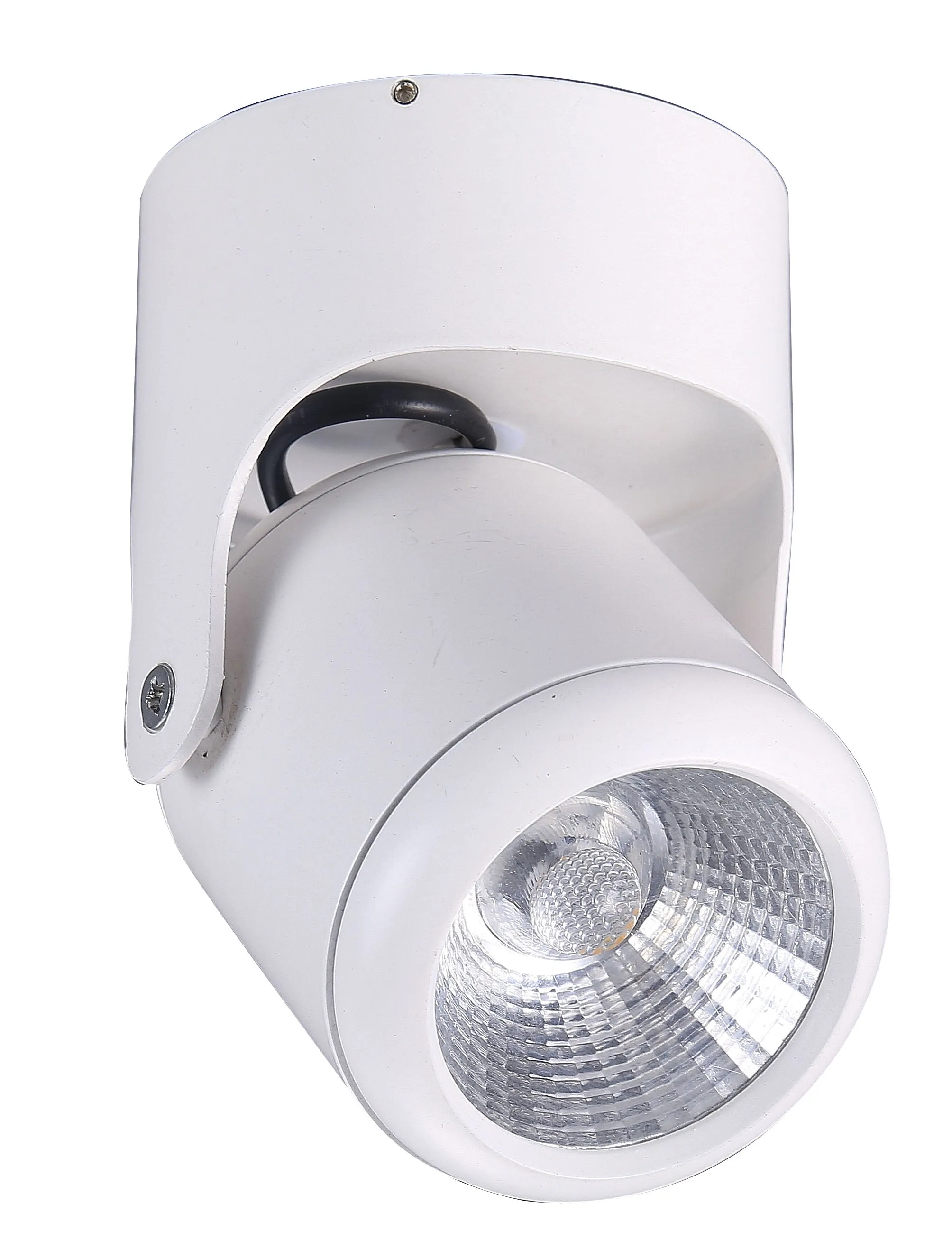 8036WH 8W LED Surface Spot Light in White