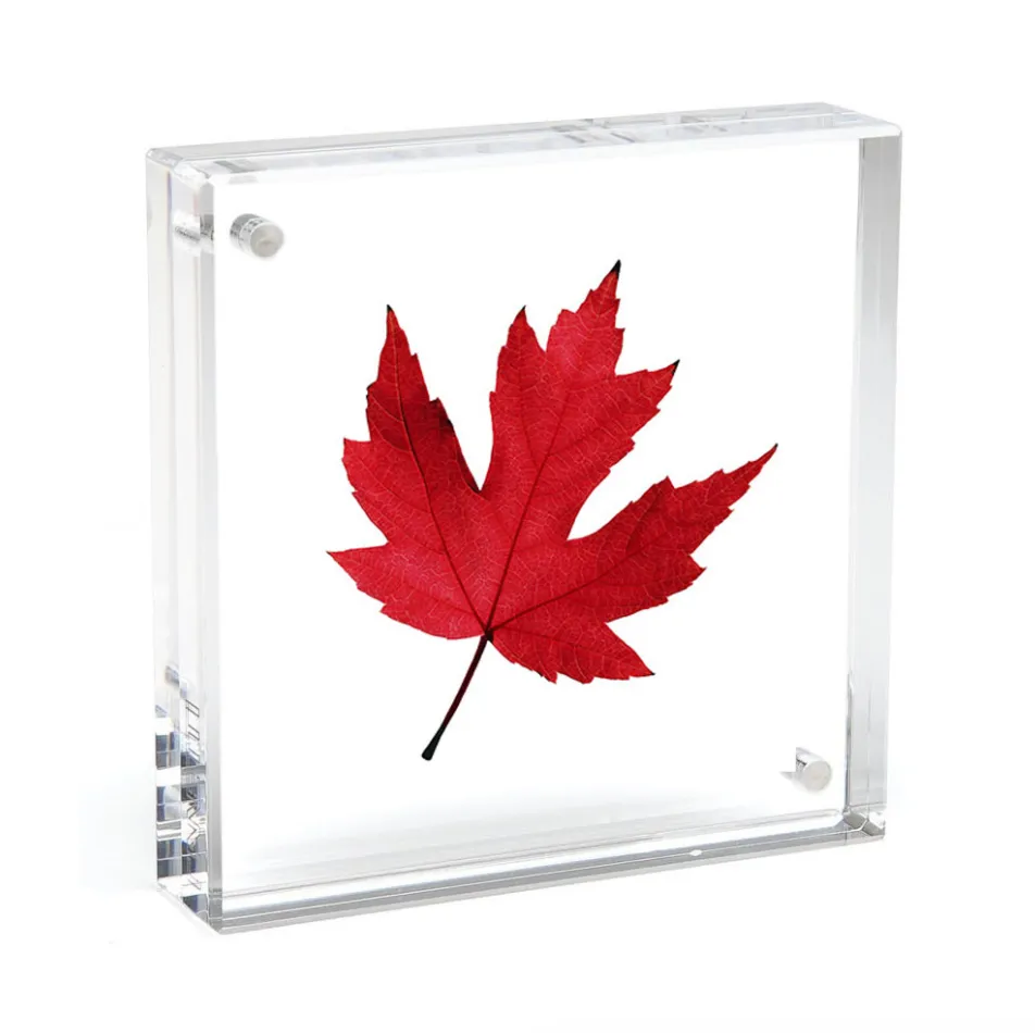 Acrylic Magnet Frame
