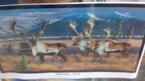Black Caribou panel