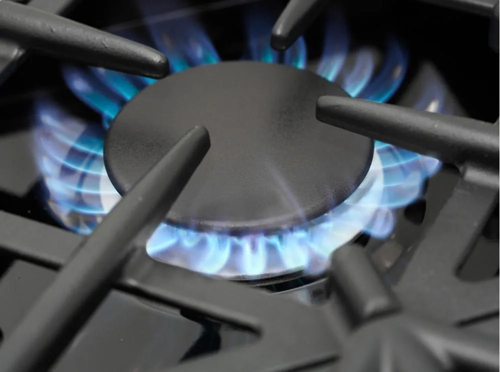Bluestar RCS30SBV2 30" Culinary Series (Rcs) Sealed Burner Range