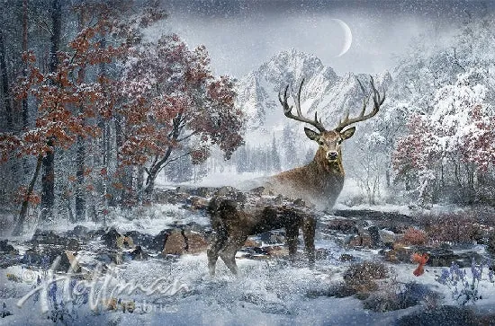 Call of the Wild - December Elk
