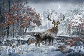 Call of the Wild - December Elk