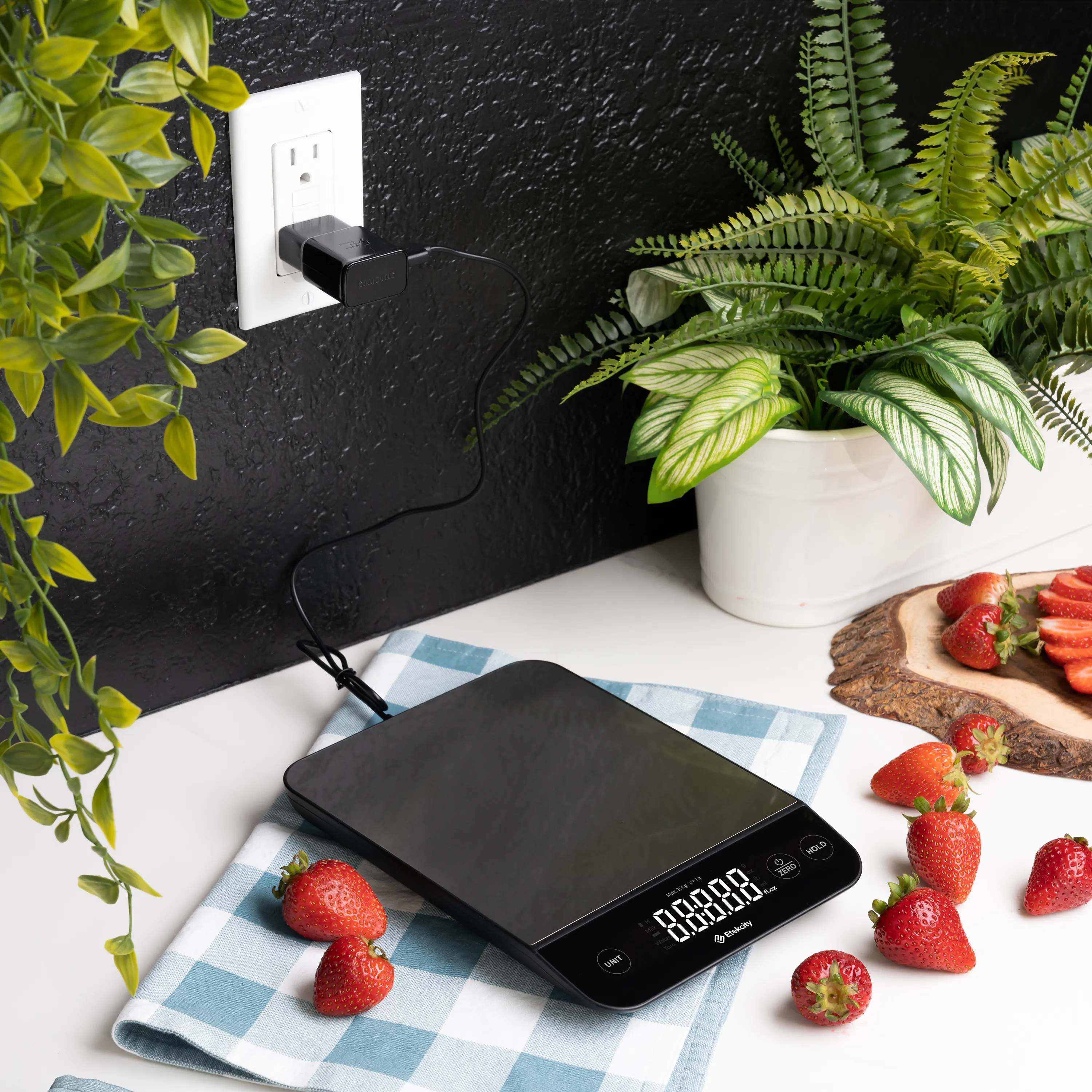 EKS-L221-SUS Luminary™ Kitchen Scale