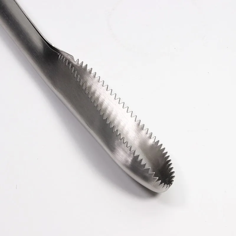 Fish Scale Scraper Remover for Fast and Easy Fish Scale Removing