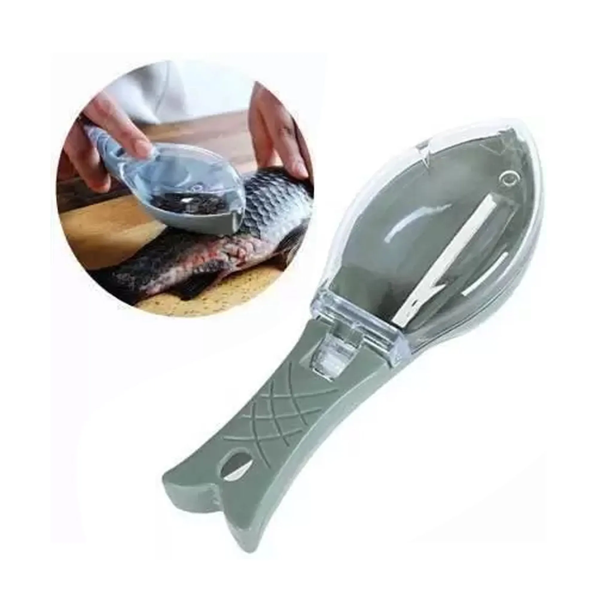 Fish Scale Scraper Tool