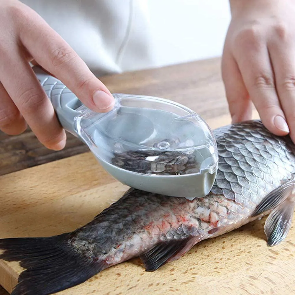 Fish Scale Scraper Tool