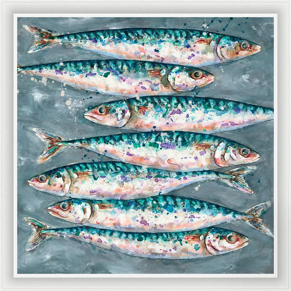 Mackerel Swim