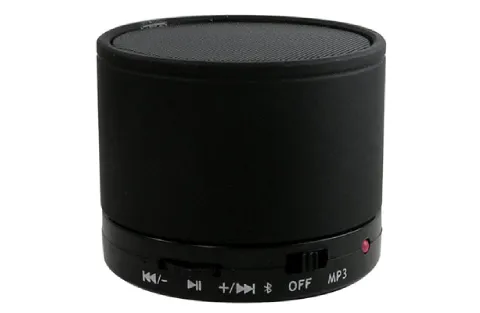 Portable Bluetooth Speaker with FM Radio & Micro-SD Support