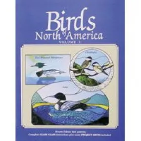 Stained Glass Pattern Book - Birds of North America I