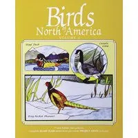 Stained Glass Pattern Book - Birds of North America II