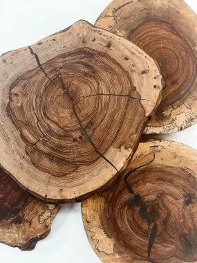 Texas Pecan Wildwood Chargers