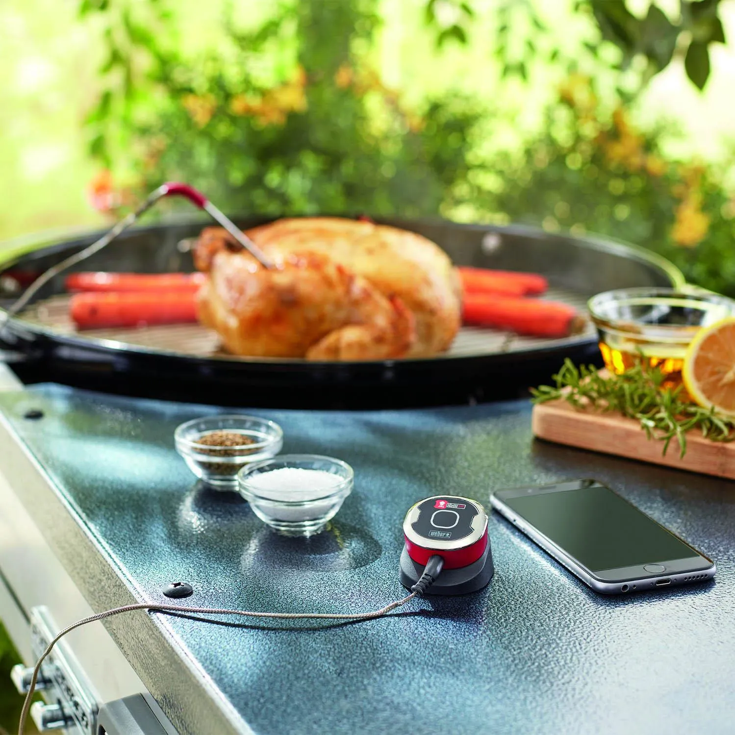 Weber iGrill Mini Bluetooth Thermometer
